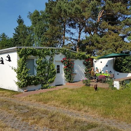 Ferienhaeuschen Villa Born Exteriör bild