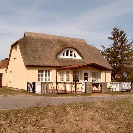 Ferienhaeuschen Villa Born Exteriör bild