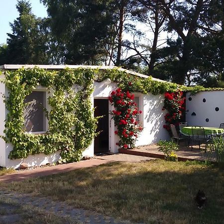 Ferienhaeuschen Villa Born Exteriör bild