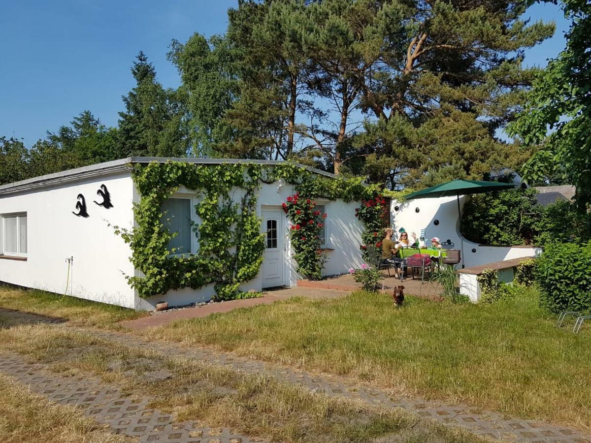 Ferienhaeuschen Villa Born Exteriör bild