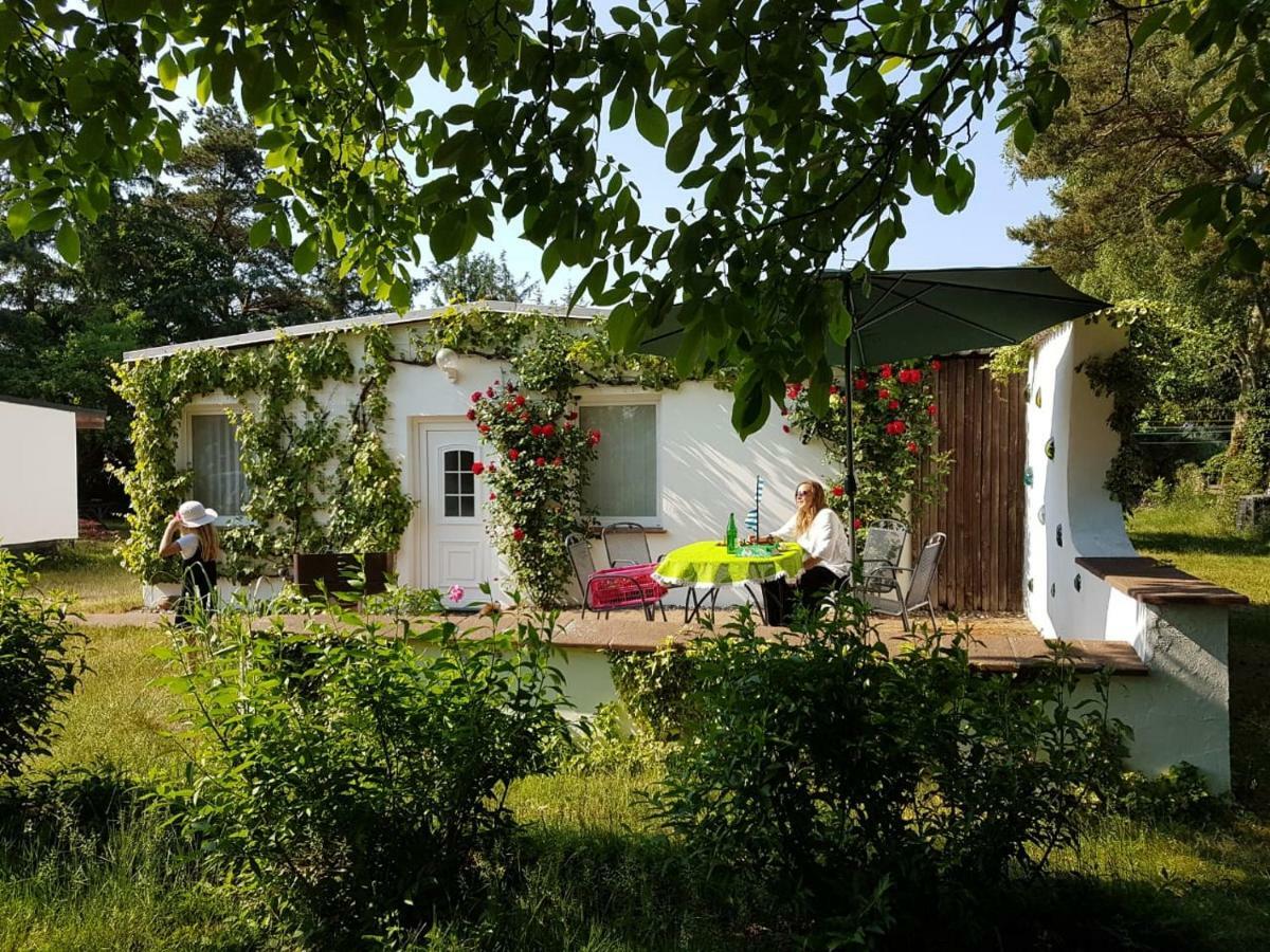 Ferienhaeuschen Villa Born Exteriör bild
