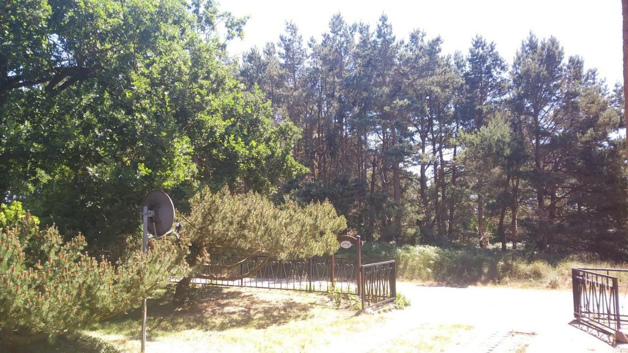 Ferienhaeuschen Villa Born Exteriör bild