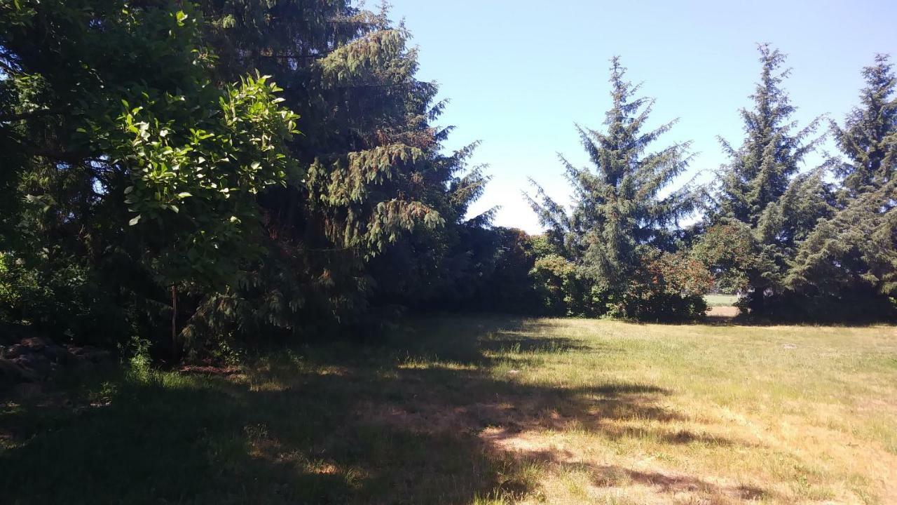 Ferienhaeuschen Villa Born Exteriör bild
