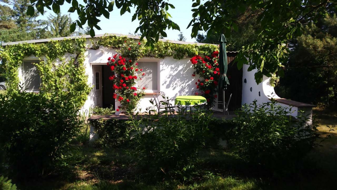 Ferienhaeuschen Villa Born Exteriör bild