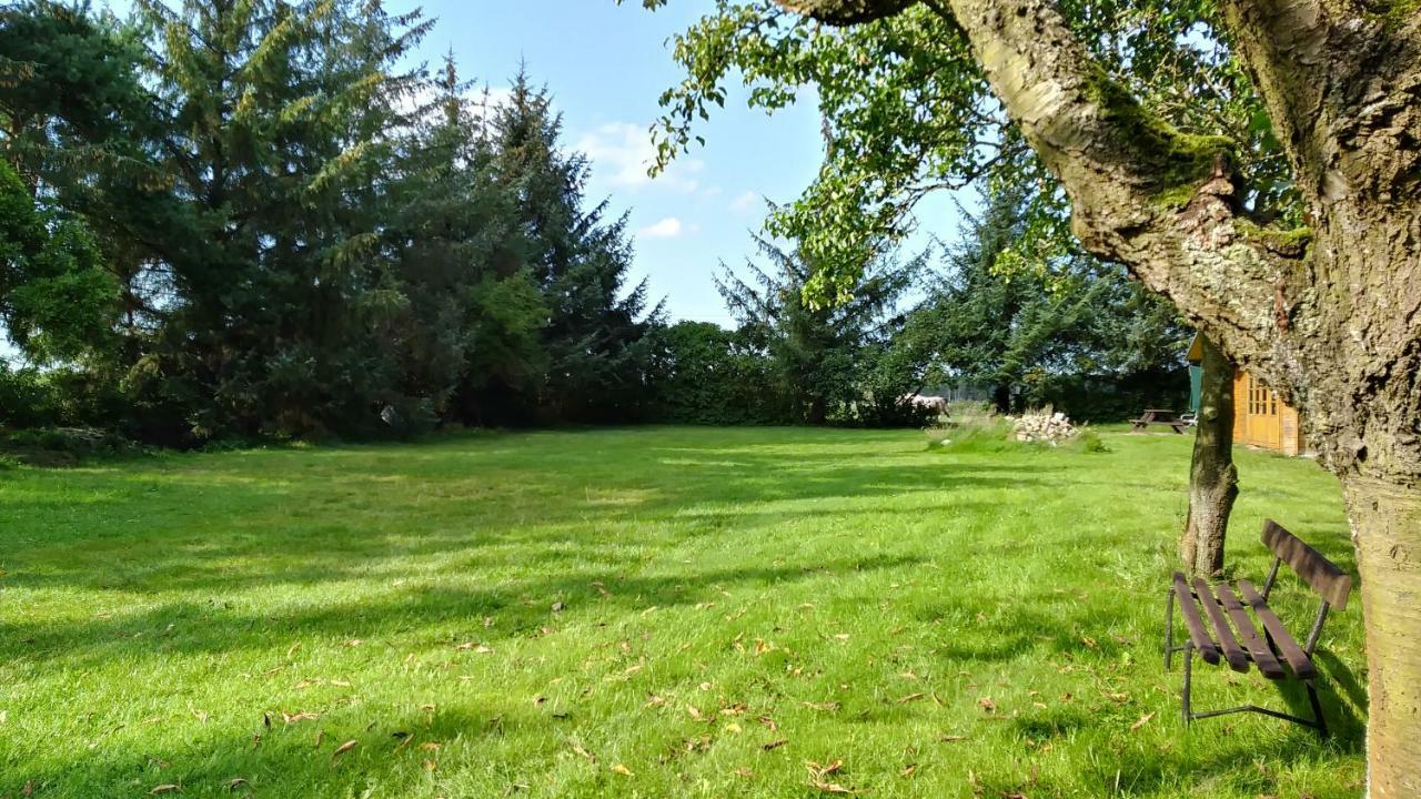 Ferienhaeuschen Villa Born Exteriör bild