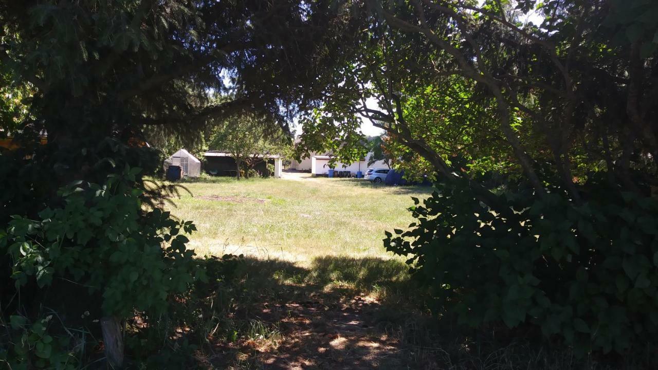 Ferienhaeuschen Villa Born Exteriör bild