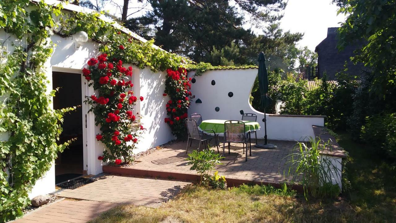 Ferienhaeuschen Villa Born Exteriör bild